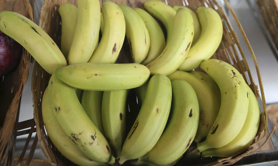 As exportações de frutas, no geral, subiram no mês passado – Crédito: Valter Campanato/Agência Brasil 