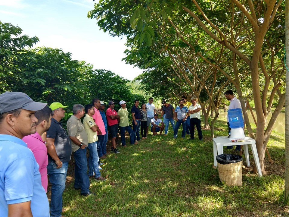 Foto: Divulgação/Incaper. 