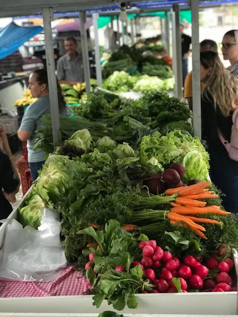 A feira acontecerá sempre às quartas-feiras em Colatina - Crédito: Divulgação/Seag