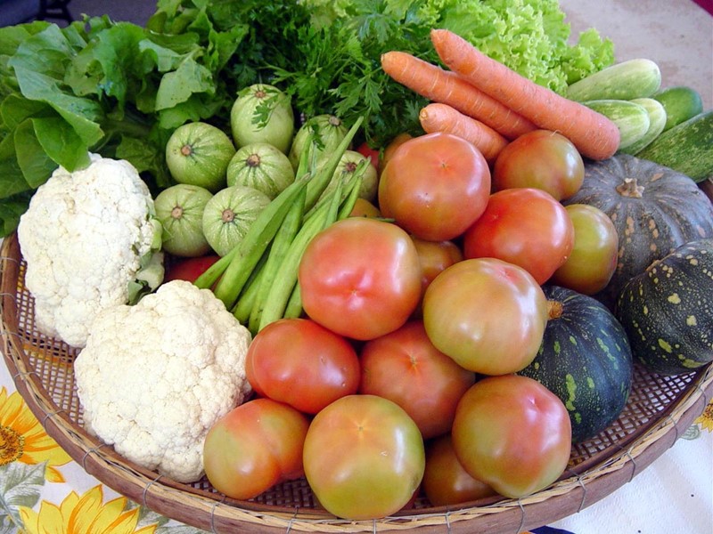 Verduras e legumes ajudam no combate à desintoxicação, seja em sopas ou em sucos - Crédito: Arquivo/Secom-ES 