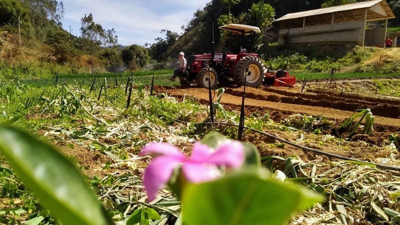 Crédito rural é fundamental para que o agricultor tenha possibilidade de empreender – Crédito: Divulgação/Incaper