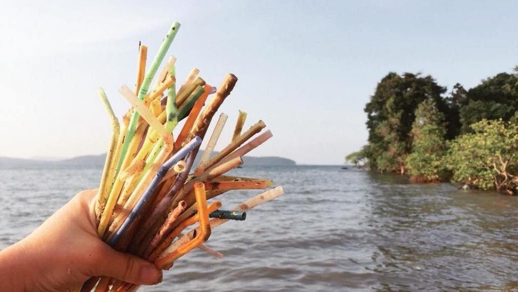 Canudos plásticos estão proibidos em todo o Espírito Santo (Foto: Divulgação/Reprodução da Web)