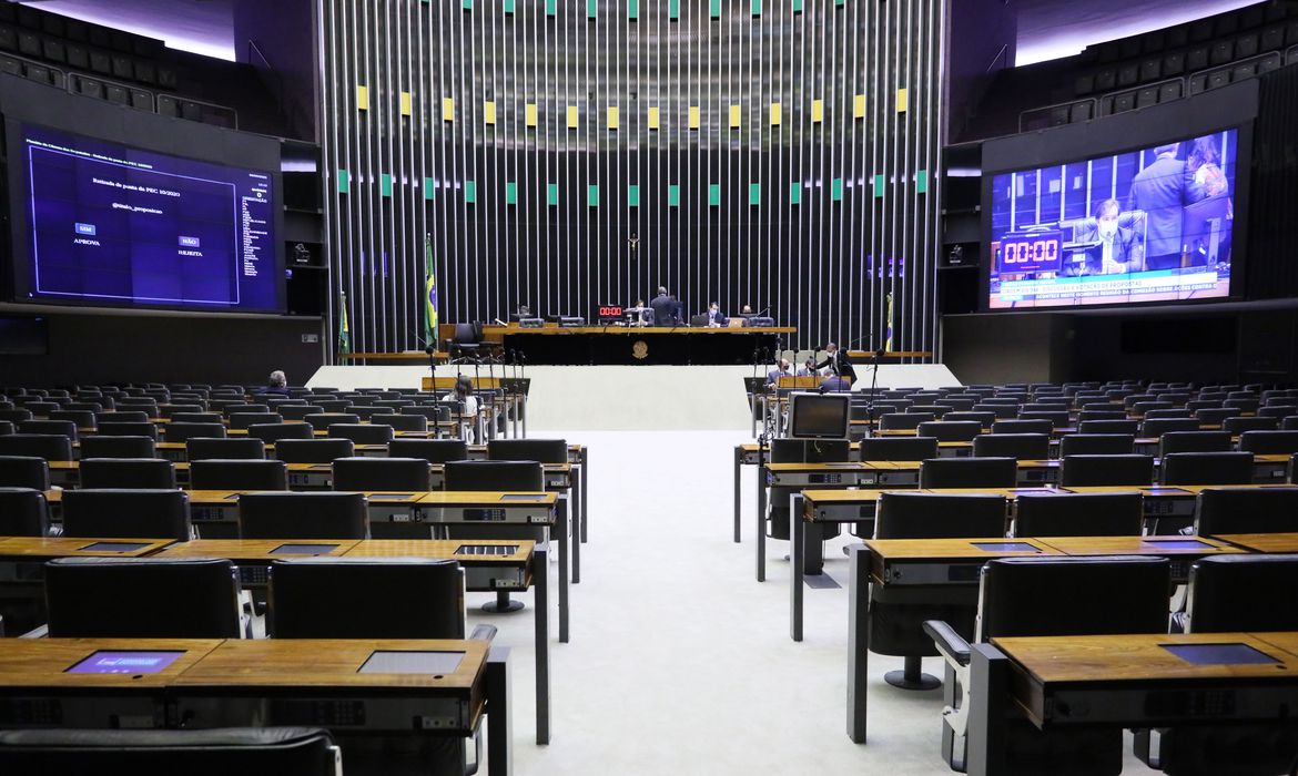 Projeto que institui medidas de proteção a indígenas, foi aprovado em sessão virtual remota - Crédito: Najara Araújo/Câmara dos Deputados 